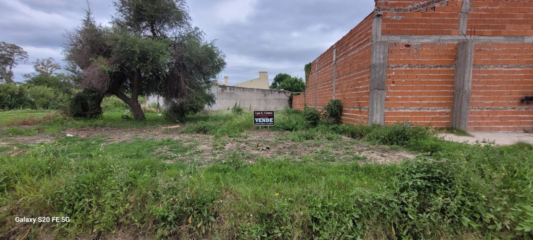 TERRENO 