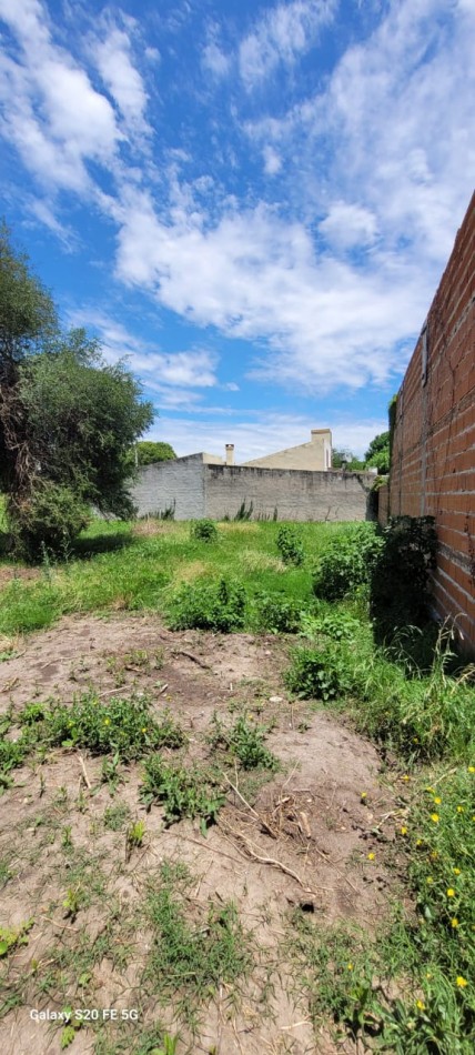 TERRENO 