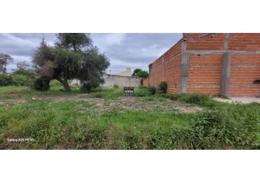 TERRENO 
